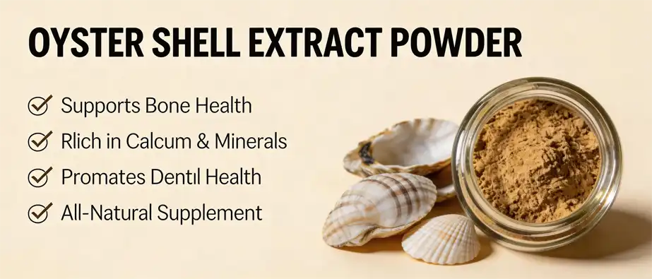 Oyster shell extract powder