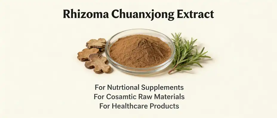 Rhizoma Chuanxiong Extract Rhizoma Chuanxiong Extract