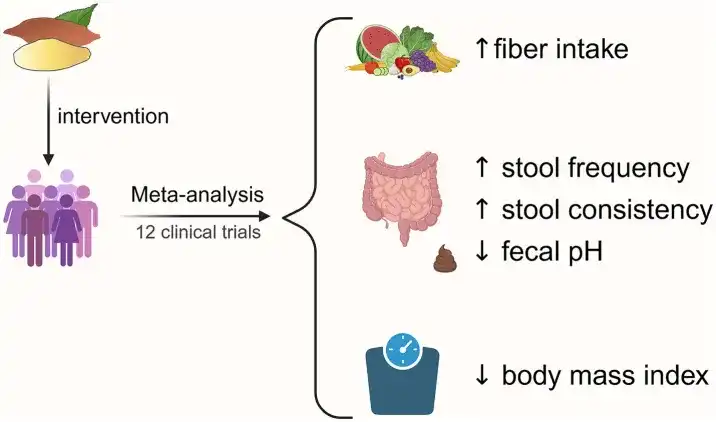 Yacon Root Extract Yacon Root Extract