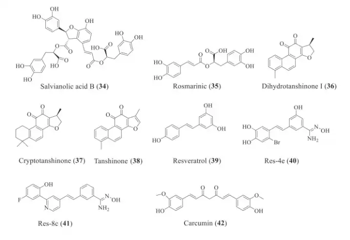 Miltiorrhiza Root Extract Powder