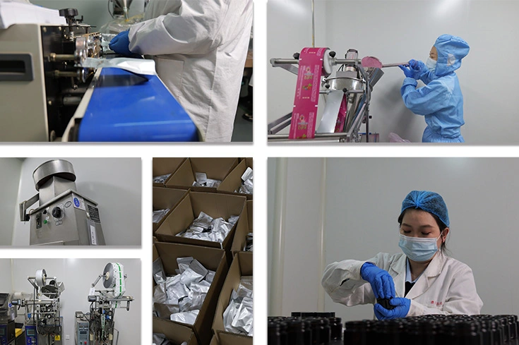 BioSpark (Xi'an) Quality Assurance