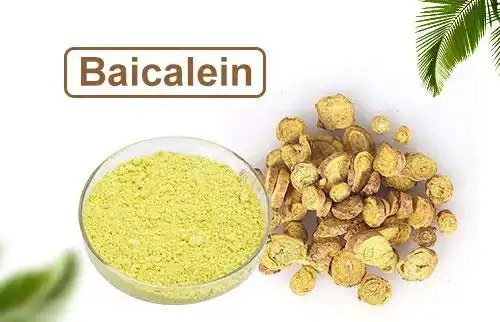 Baicalein extract Baicalein extract