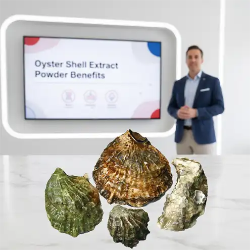Oyster shell extract powder