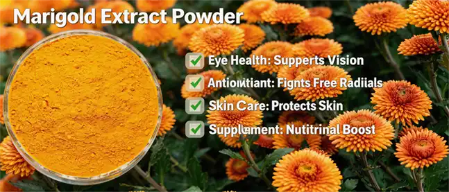 marigold extract powder marigold extract powder