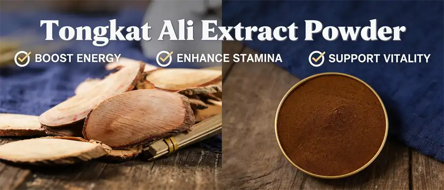 best Tongkat Ali extract powder
