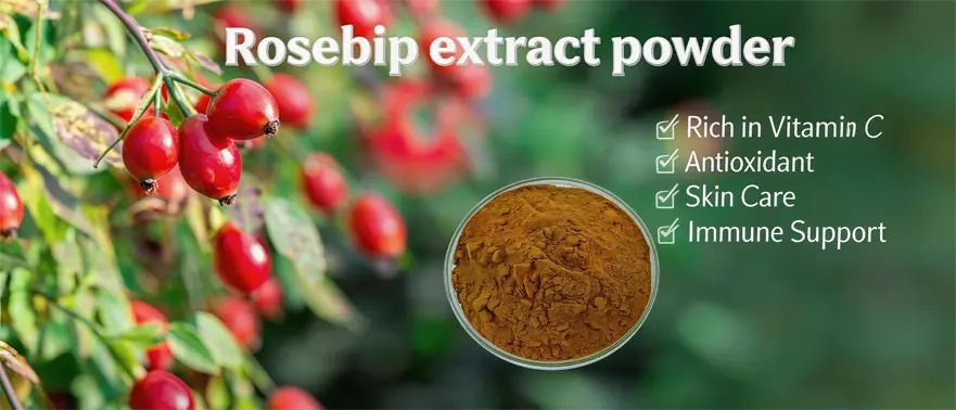 Rosehip extract powder