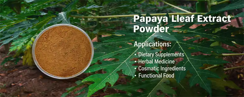 papaya leaf extract powders