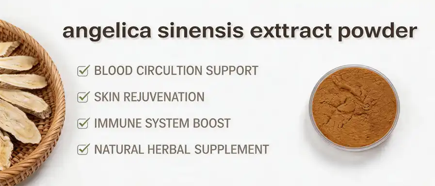 Angelica sinensis extract powder Angelica sinensis extract powder