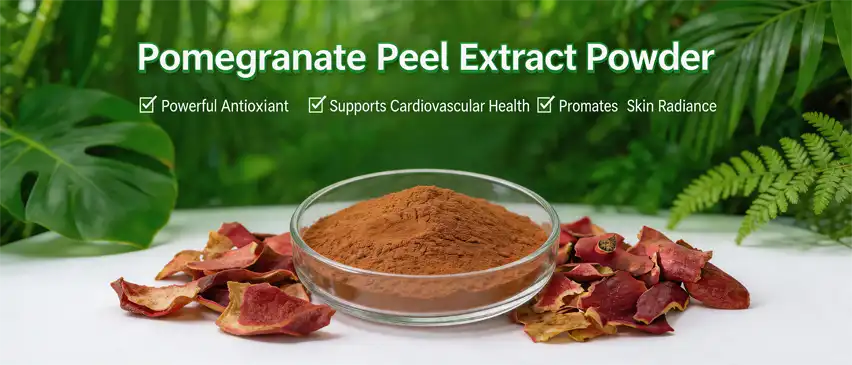 pomegranate seed extract powder