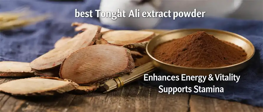 best Tongkat Ali extract powder best Tongkat Ali extract powder