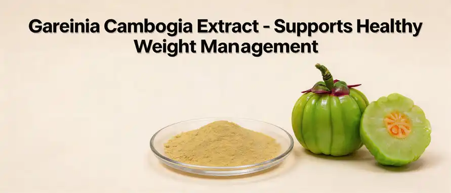 Garcinia Cambogia Extract