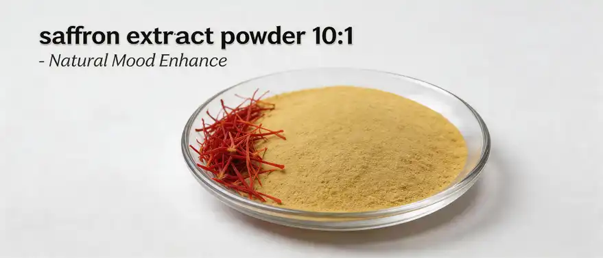 saffron extract powder 10:1