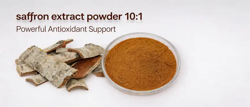 White Willow Bark Extract Powder White Willow Bark Extract Powder