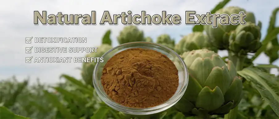 nature artichoke extract nature artichoke extract