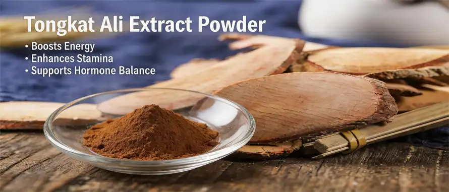 best Tongkat Ali extract powder