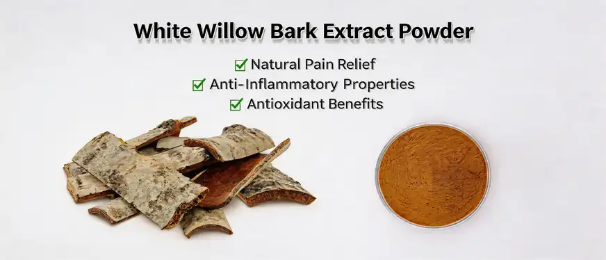 white willow bark extract powder