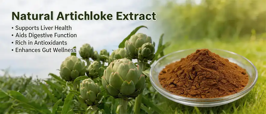 nature artichoke extract nature artichoke extract