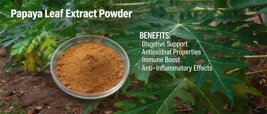 papaya leaf extract powder