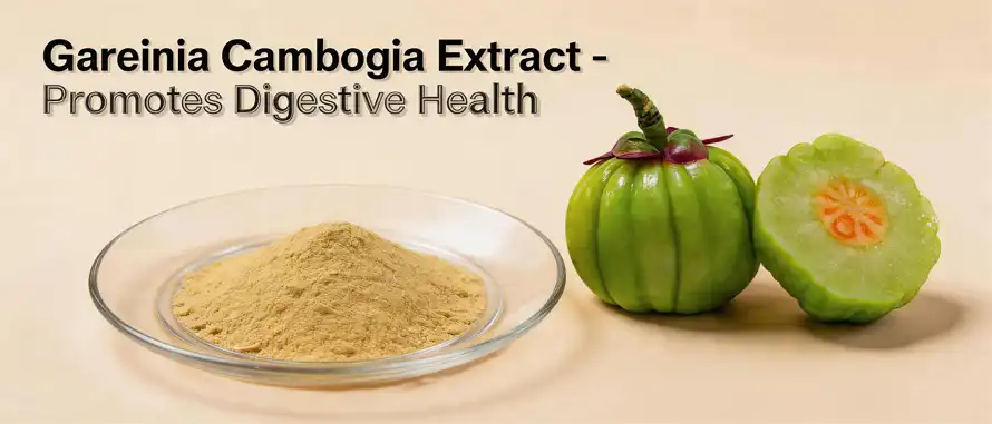 Garcinia Cambogia Extract