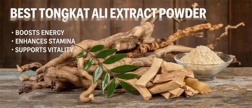 best Tongkat Ali extract powder 