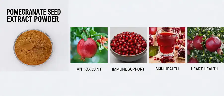 pomegranate seed extract powder pomegranate seed extract powder