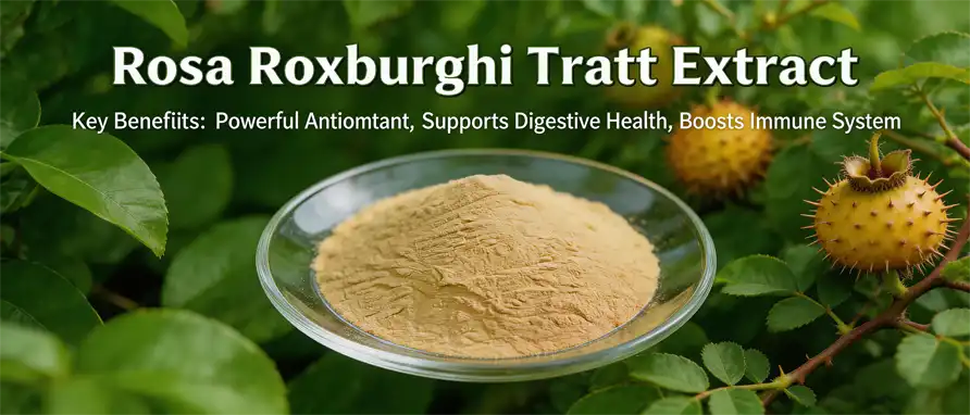 Rosa Roxburghii Extract