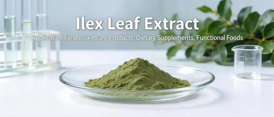 Ilex leaf extract Ilex leaf extract