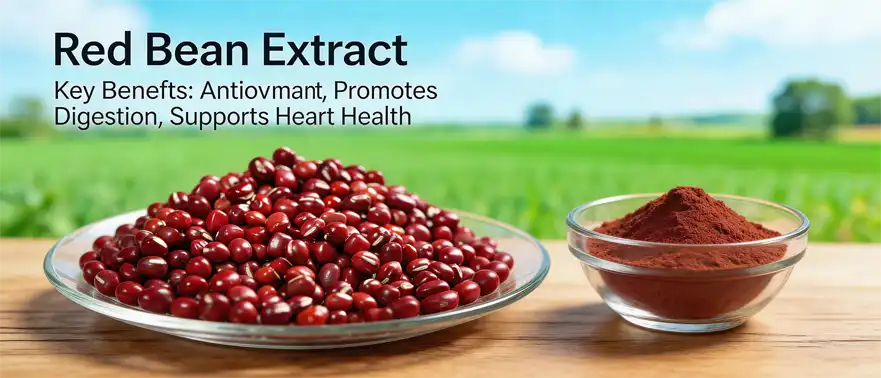 red bean extract red bean extract