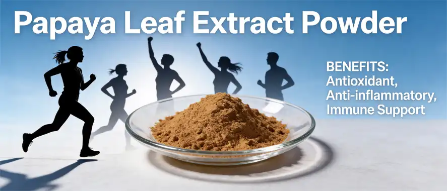 papaya leaf extract powder