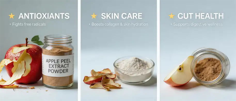 apple peel extract powder apple peel extract powder
