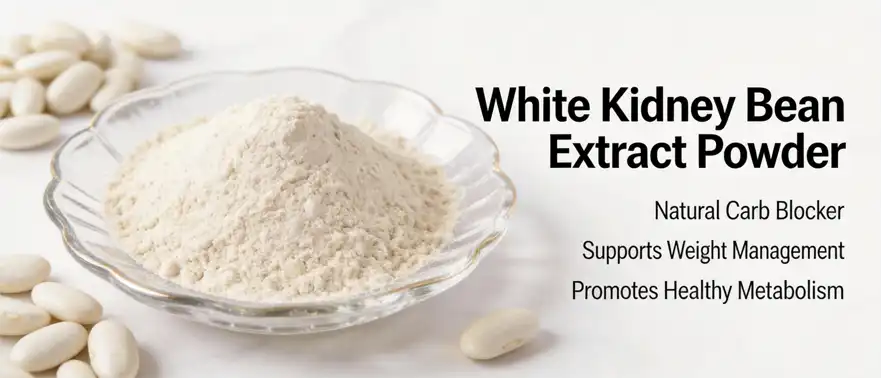 white kidney bean extract powder