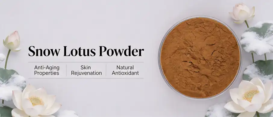 Snow Lotus Powder