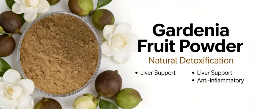 Gardenia fruit powde Gardenia fruit powde