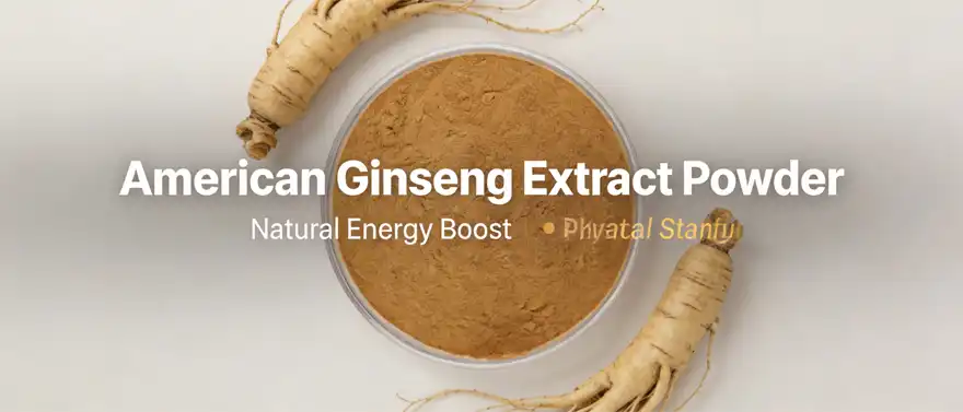 American ginseng extract powder