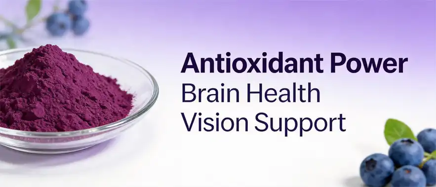 natural blueberry extract powder 