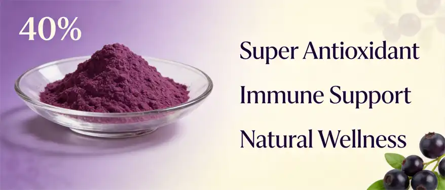 Maqui berry powder
