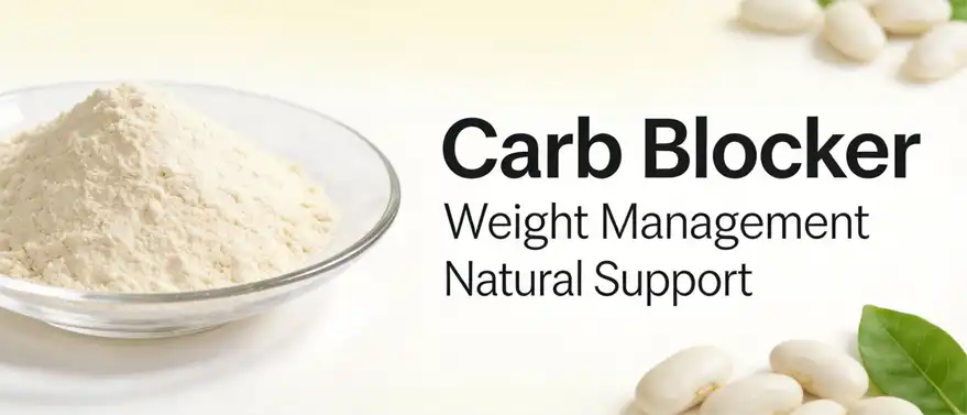 white kidney bean extract powder white kidney bean extract powder
