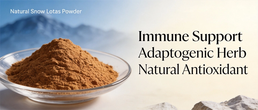 Snow Lotus Powder Snow Lotus Powder
