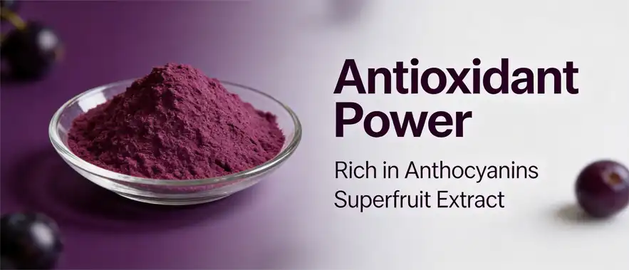 Maqui berry powder Maqui berry powder