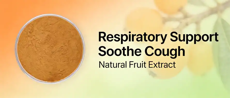 Loquat powder