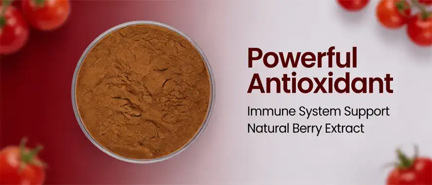 Holy berry powder