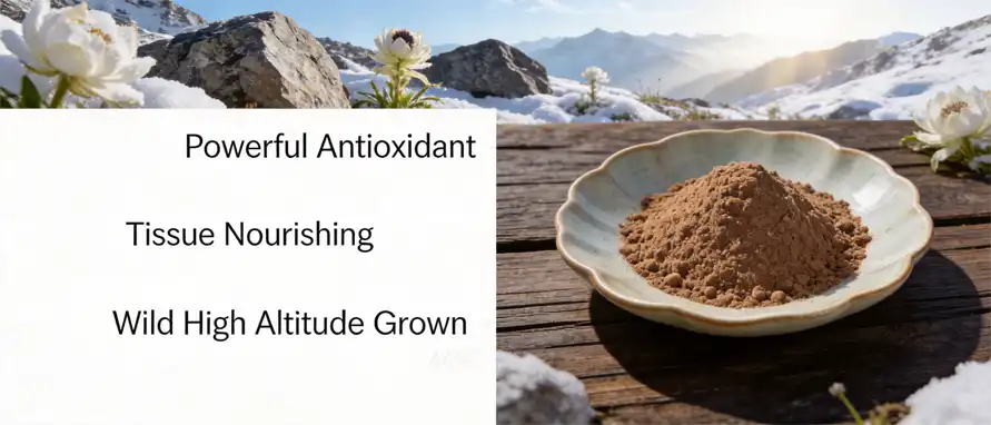 Snow Lotus Powder