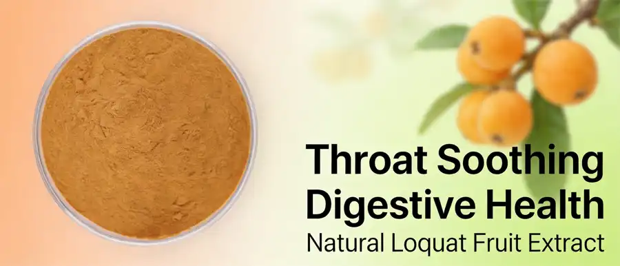 Loquat powder