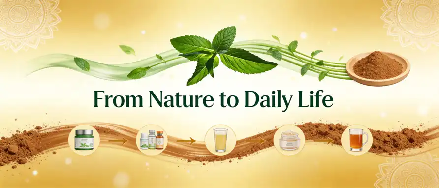  Indian herbal extracts