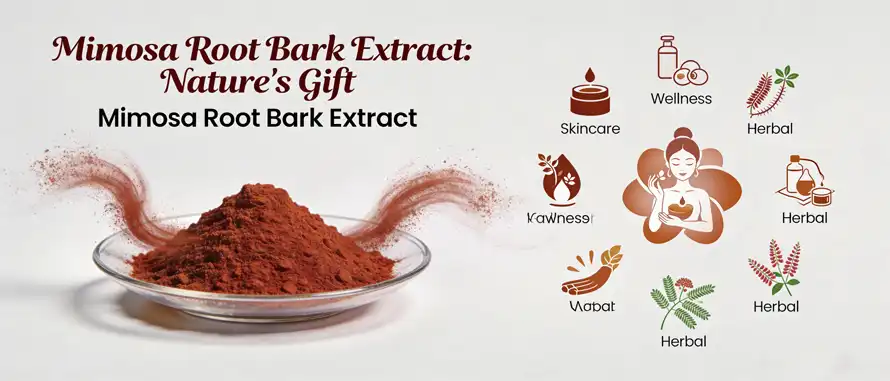 Mimosa Root Bark Extract 