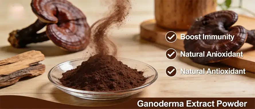 Ganoderma Extract Powder Ganoderma Extract Powder