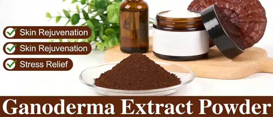 Ganoderma extract powder