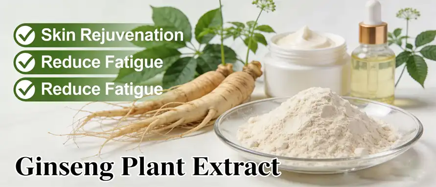 ginseng plant extract