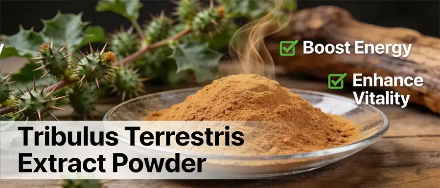 Tribulus terrestris extract powder