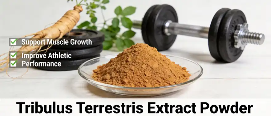 Tribulus terrestris extract powder 